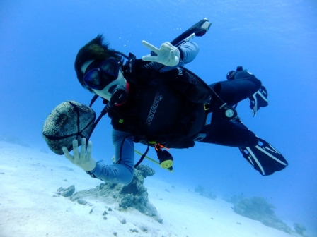 サイパン ダイビング