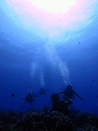 サイパン ダイビング ライセンス