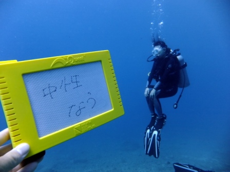 サイパン ダイビング ライセンス