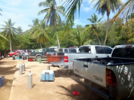 サイパン ダイビング ライセンス