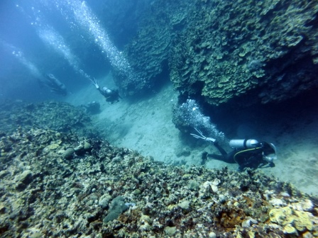 サイパン ダイビング ライセンス