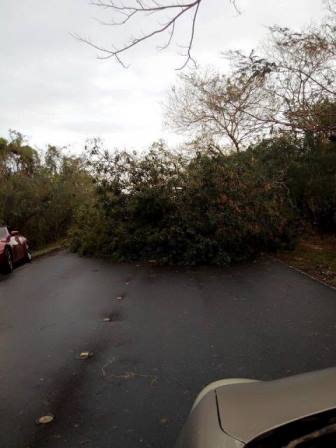 サイパン ダイビング ライセンス