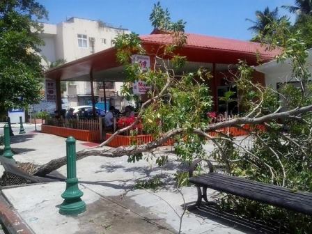 サイパン 体験ダイビング