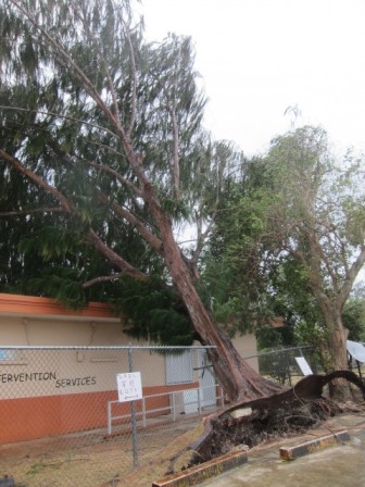 サイパン ダイビング ライセンス