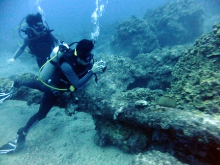 サイパン ダイビング ライセンス