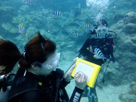 サイパン ダイビングショップ