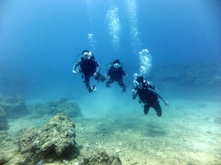 サイパン ダイビング ライセンス