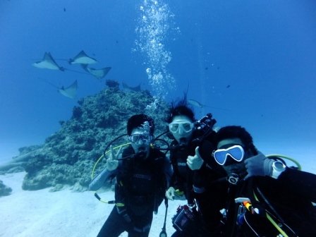 サイパン ダイビング