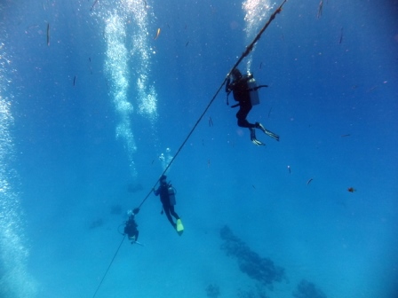 サイパン ダイビングショップ