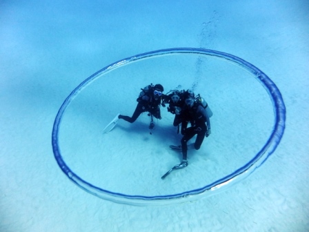 サイパン ダイビング ライセンス