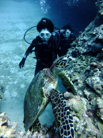 サイパン ダイビング