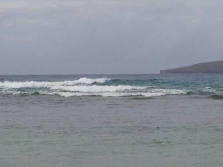 サイパン ダイビング ライセンス