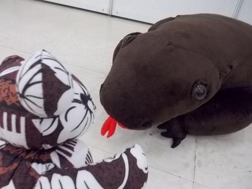 ピピピピタ室長です (;・∀・) ダイビングフェア2015_4