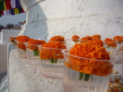 2015年春彼岸ボウダナート３