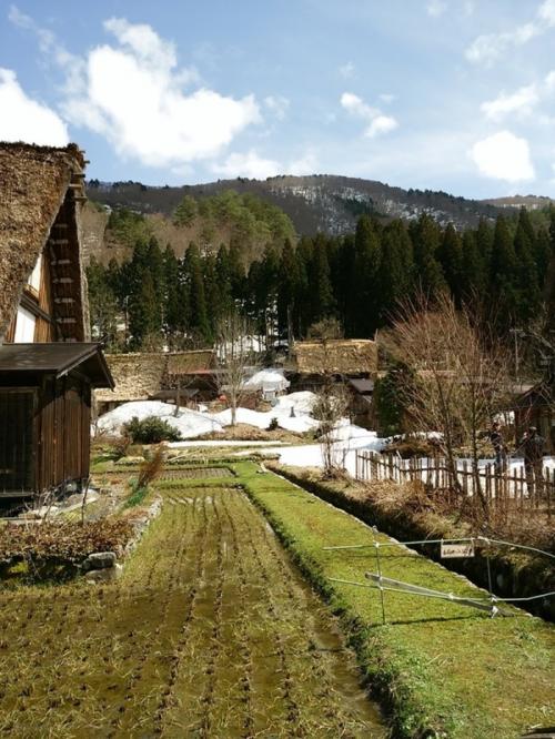 季節の移ろいを五感で感じる春季２