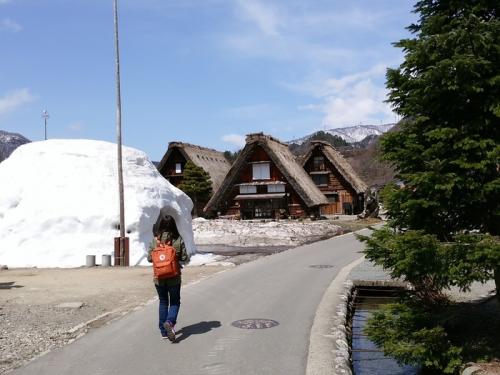 季節の移ろいを五感で感じる春季３