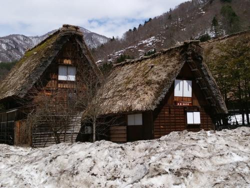 季節の移ろいを五感で感じる春季５