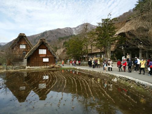 もう一度 お花見を楽しむなら！５