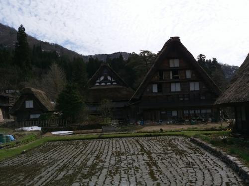 もう一度 お花見を楽しむなら！６