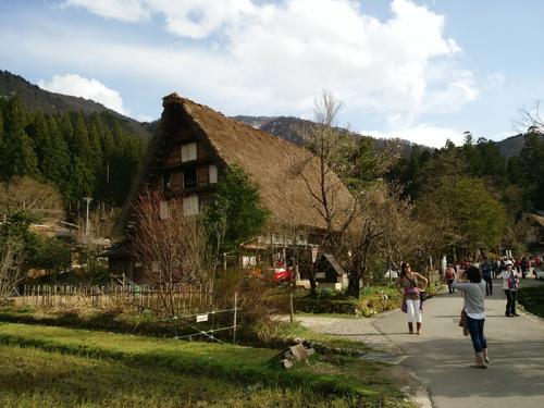 もう一度 お花見を楽しむなら！７