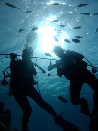 サイパン 体験ダイビング