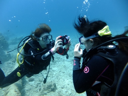 サイパン ダイビング ライセンス