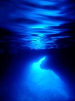 サイパン　体験ダイビング