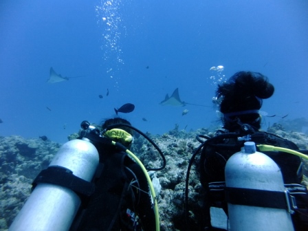 サイパン ダイビング ライセンス