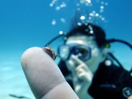 サイパン ダイビングショップ