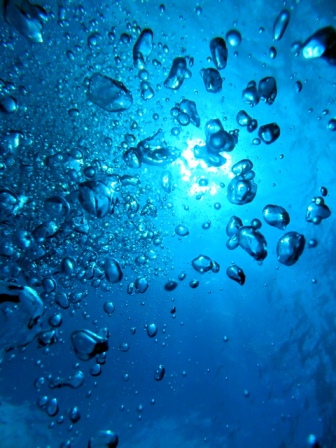 サイパン 体験ダイビング