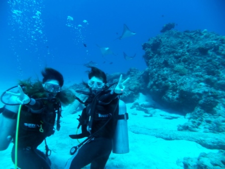 サイパン ダイビングショップ