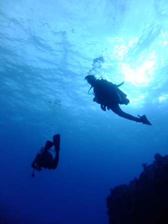 サイパン ダイビング ライセンス