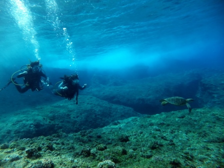 サイパン ダイビング ライセンス