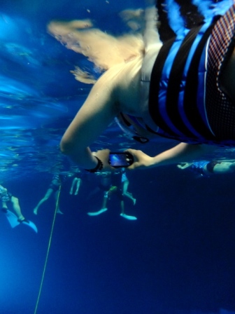 サイパン ダイビング ライセンス