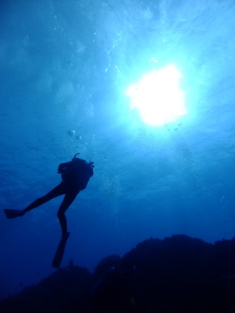 サイパン ダイビングショップ