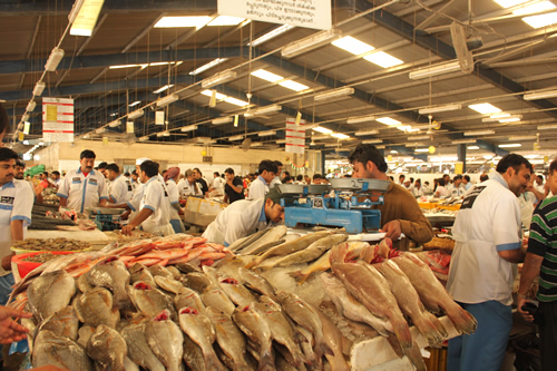とにかく大量の魚と人！