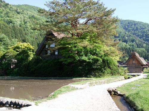 水が張られた水田に合掌造り３