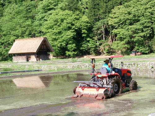 水が張られた水田に合掌造り４