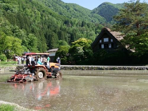 水が張られた水田に合掌造り５