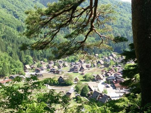 水が張られた水田に合掌造り6