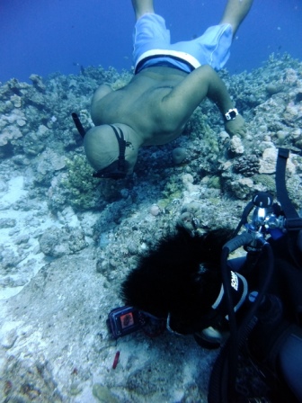 サイパン ダイビング