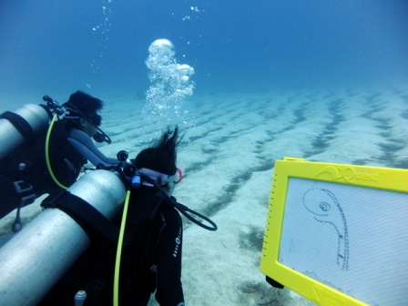 サイパン 体験ダイビング