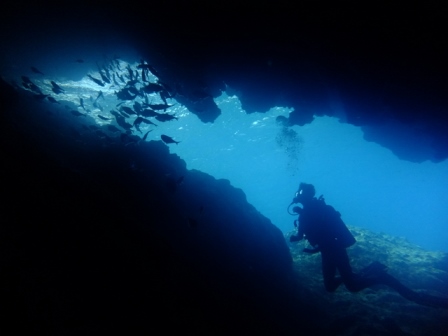 サイパン ダイビング ライセンス