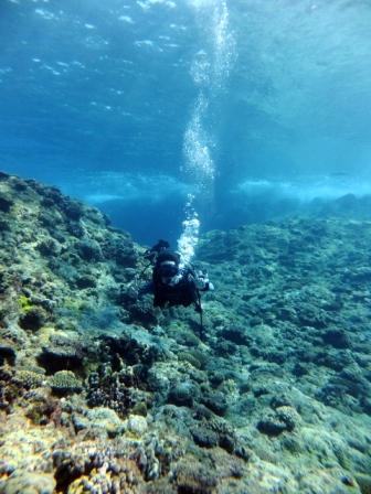 サイパン ダイビングショップ