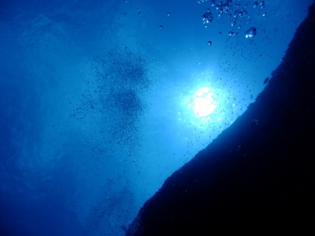 サイパン ダイビング