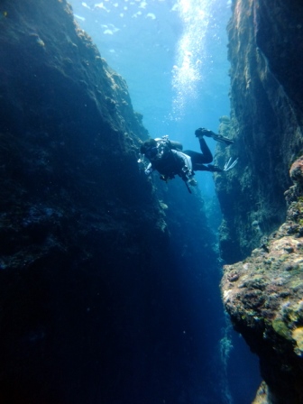 サイパン ダイビング ライセンス