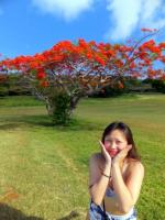 サイパン　ダイビング　ライセンス