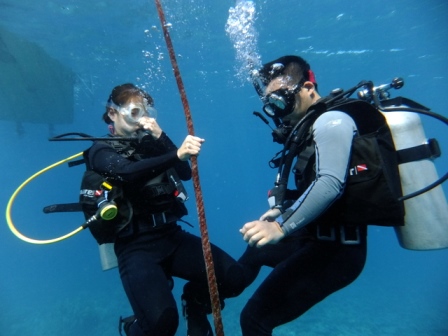 サイパン ダイビング ライセンス