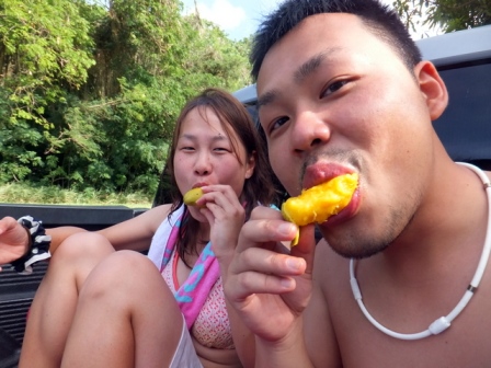 サイパン ダイビング ライセンス