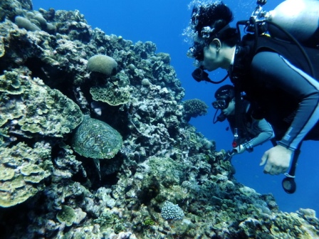 サイパン ダイビング ライセンス